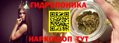 прущие грибы Волжск