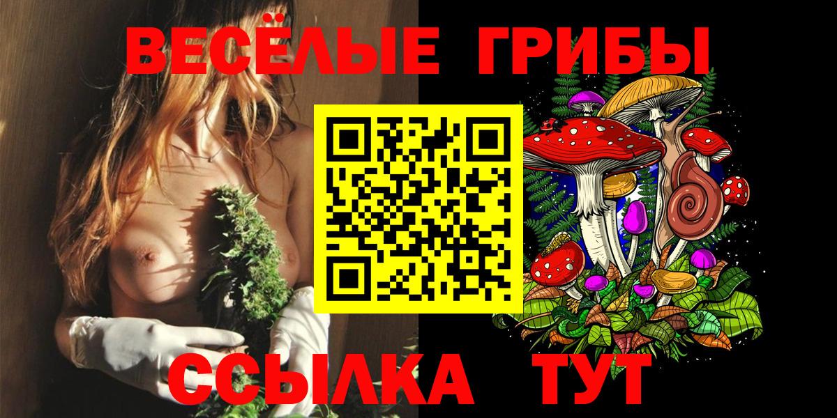 Городец  Псилоцибиновые грибы мицелий  Вход с VPN 