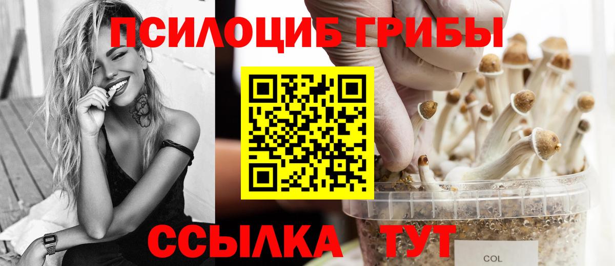 Галлюциногенные грибы Magic Shrooms Городец
